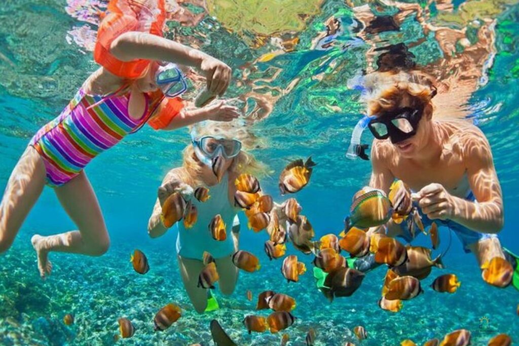 utopia island snorkel trip