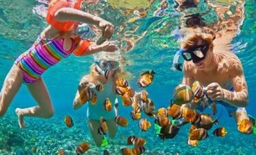 utopia island snorkel trip