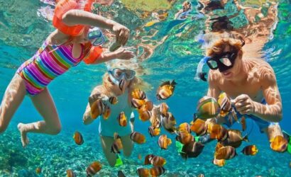 utopia island snorkel trip