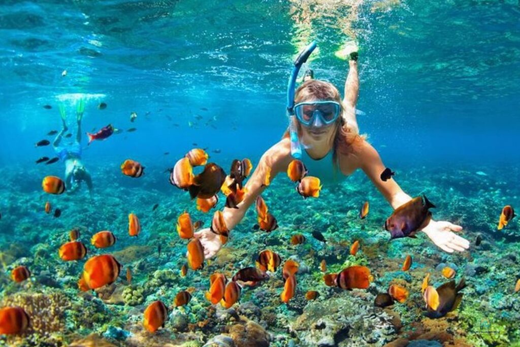 Utopia Island Snorkel Trip: 1 Epic Red Sea Adventure