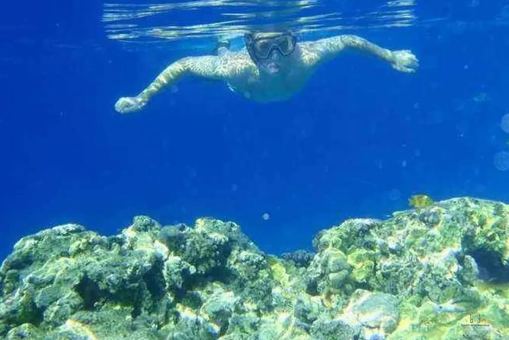 Utopia Island Snorkel Trip: 1 Epic Red Sea Adventure