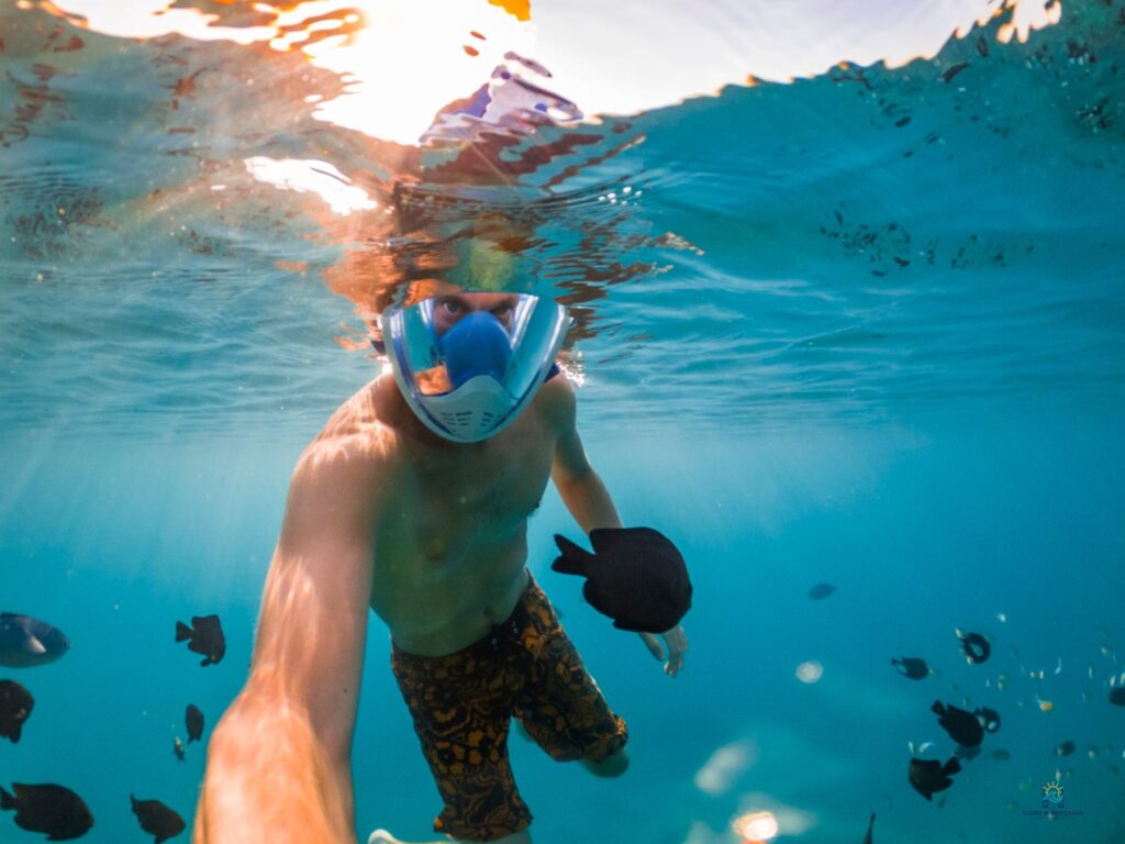 Utopia Island Snorkel Trip: 1 Epic Red Sea Adventure
