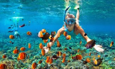 Utopia Island Snorkel Trip: 1 Epic Red Sea Adventure
